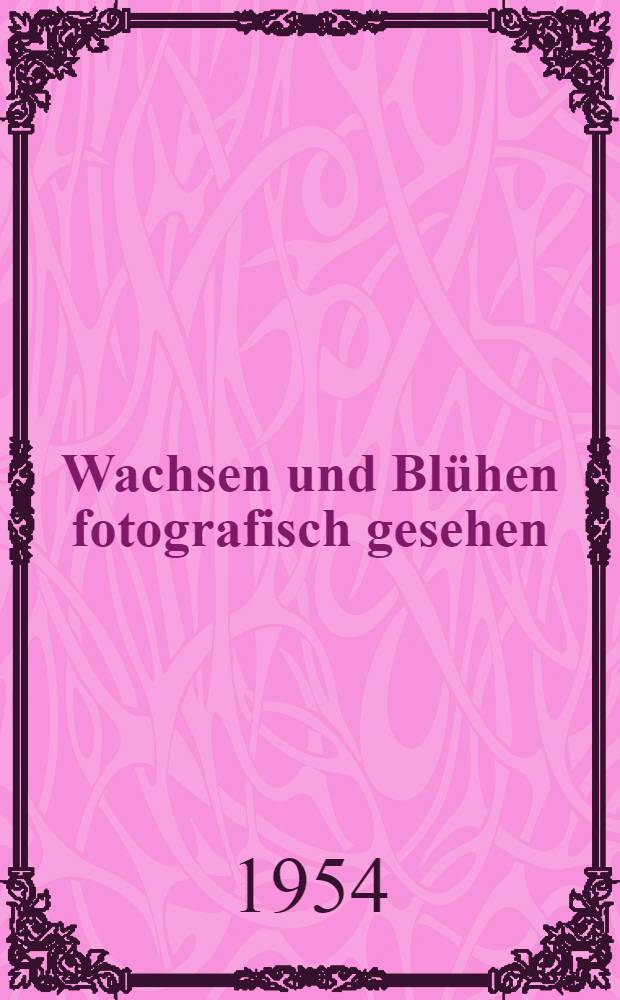 Wachsen und Blühen fotografisch gesehen