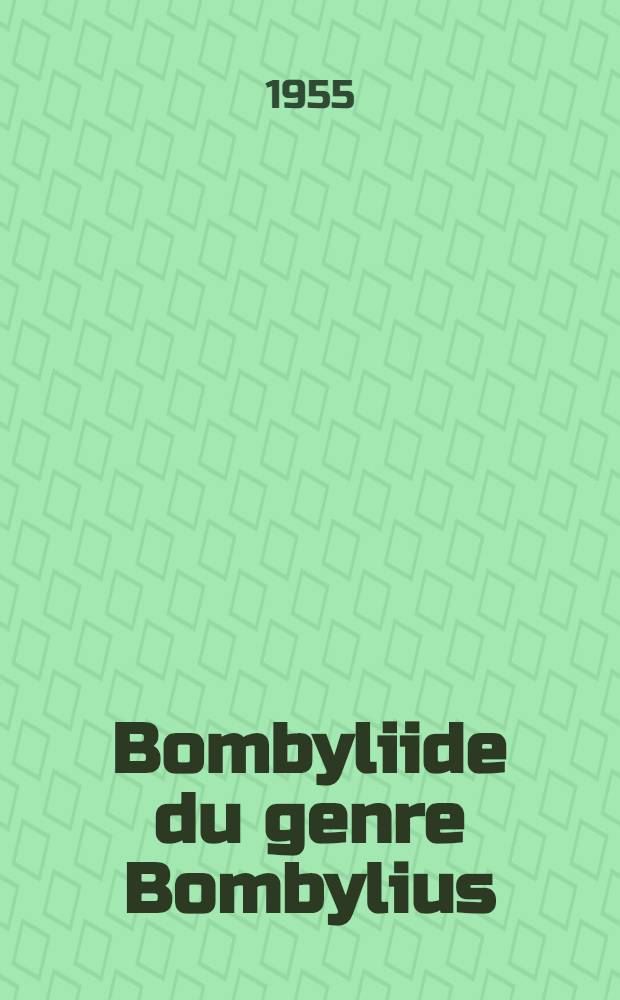 Bombyliide du genre Bombylius : (Espèces du groupe analis)