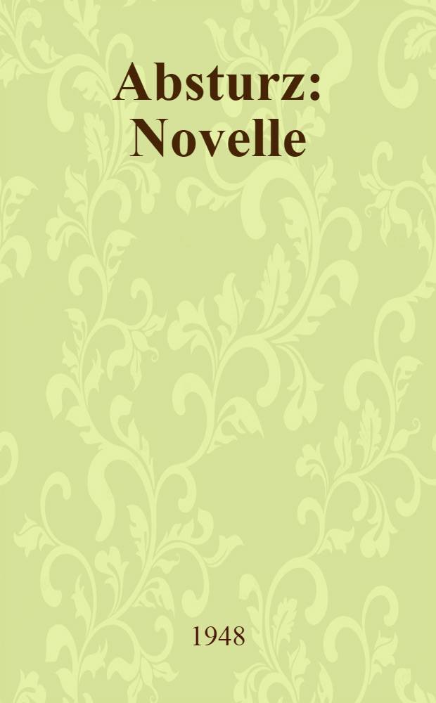 Absturz : Novelle