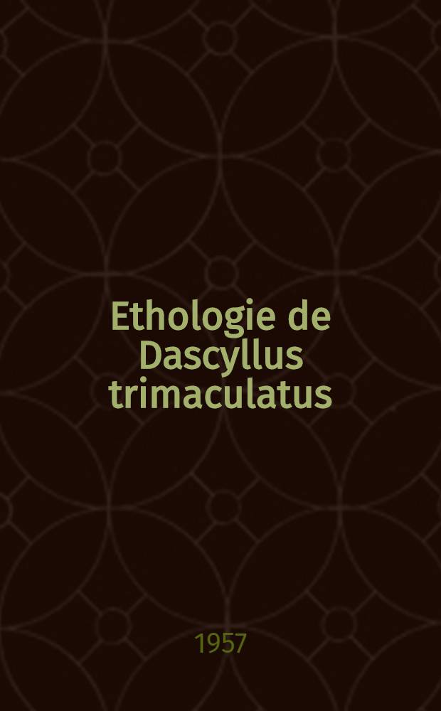 Ethologie de Dascyllus trimaculatus (Rüppell)