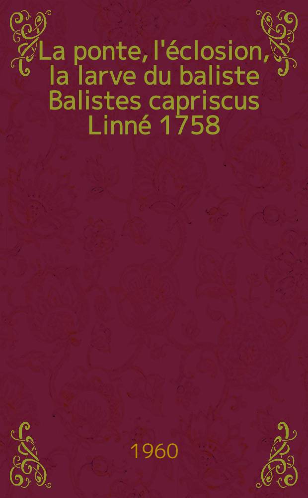 La ponte, l'&eacute;closion, la larve du baliste Balistes capriscus Linn&eacute; 1758