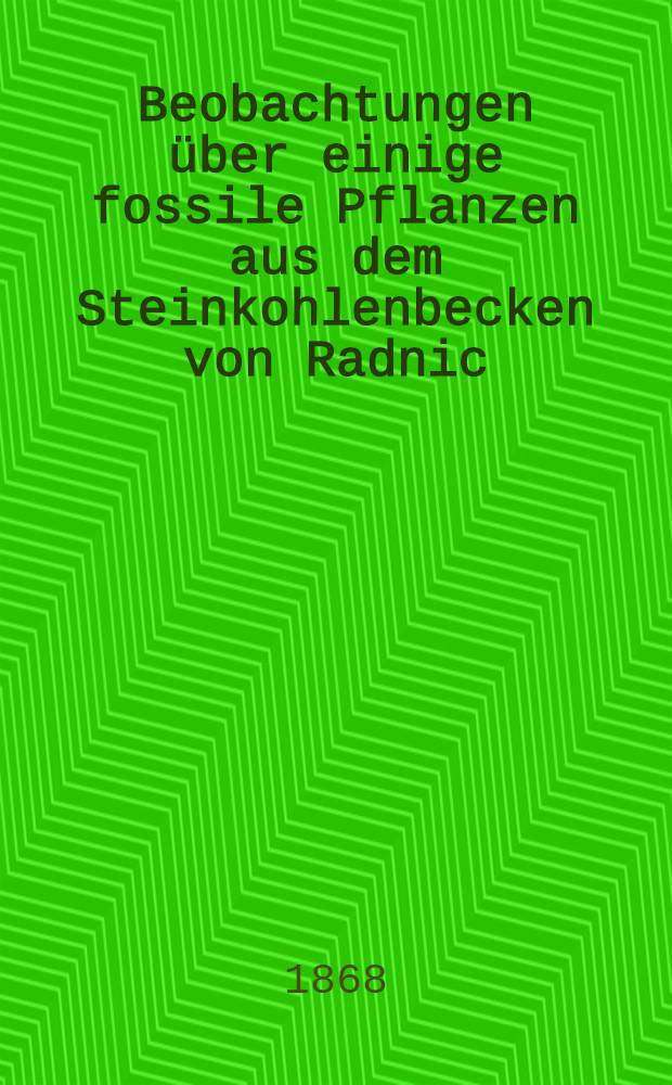 Beobachtungen über einige fossile Pflanzen aus dem Steinkohlenbecken von Radnic
