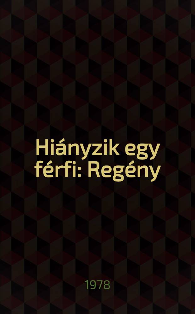 Hiányzik egy férfi : Regény
