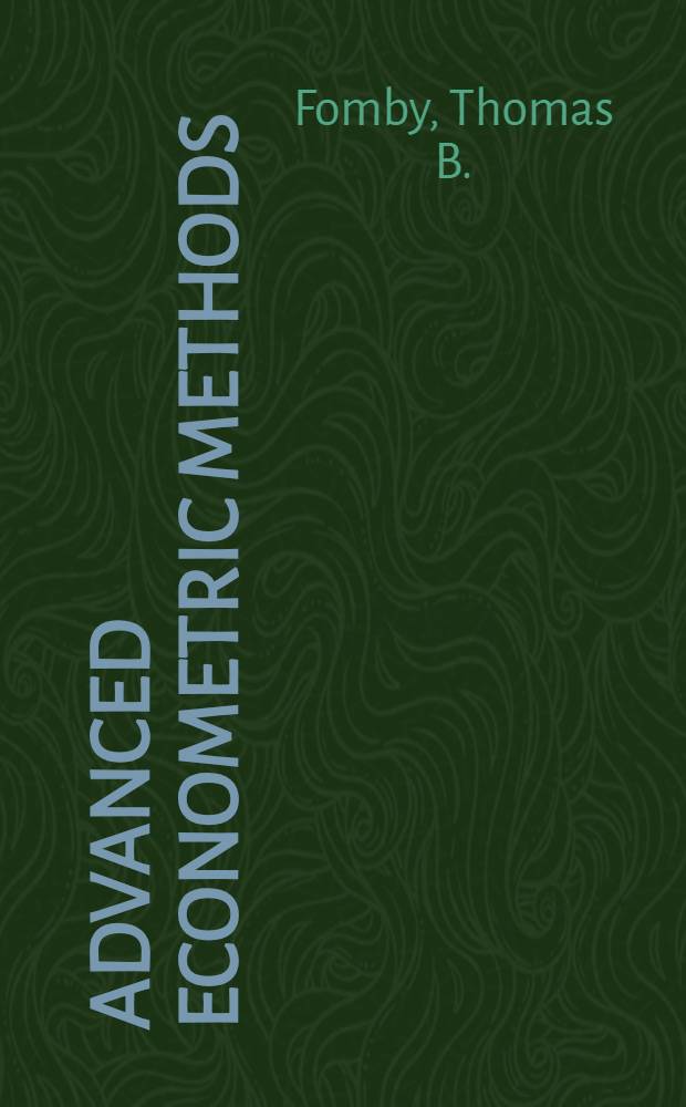 Advanced econometric methods