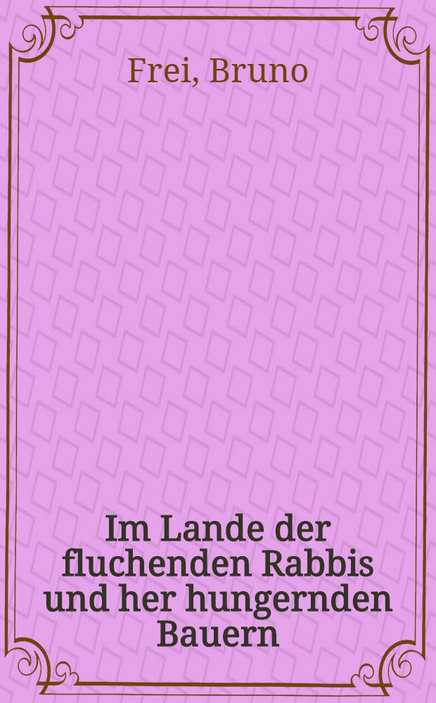 Im Lande der fluchenden Rabbis und her hungernden Bauern : Ein illustrierter Reisebericht