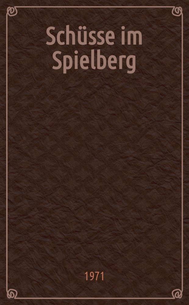 Schüsse im Spielberg : Roman