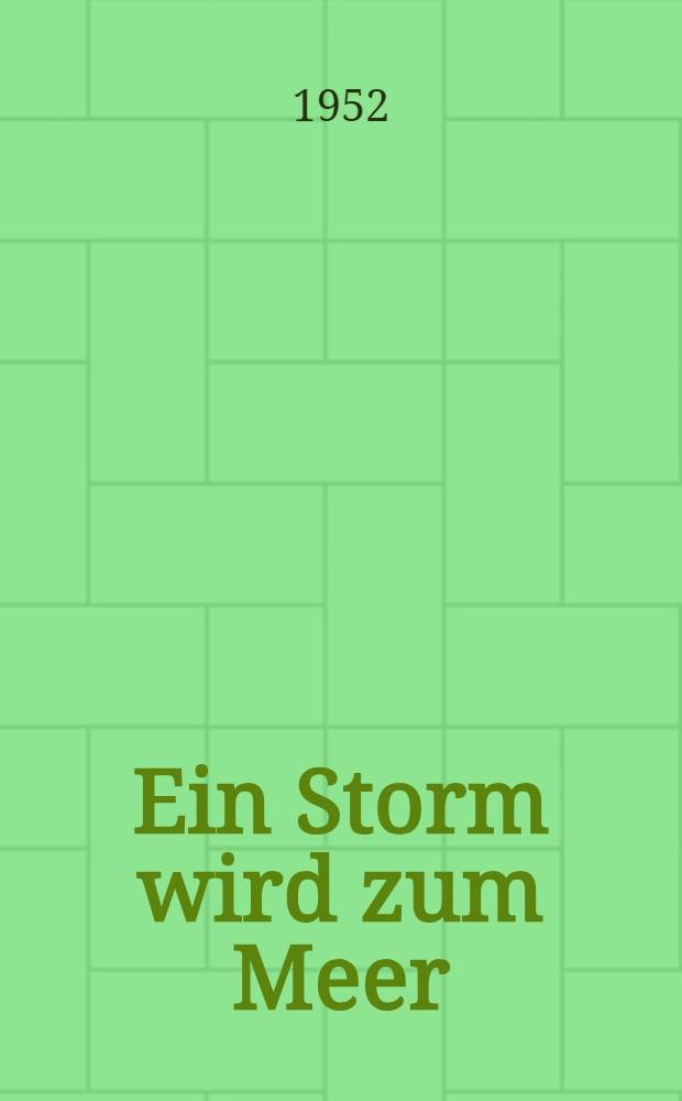 Ein Storm wird zum Meer : Ein dokumentarischer Roman