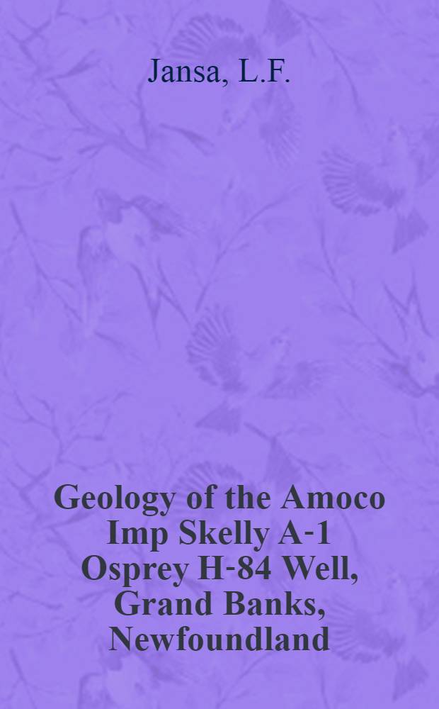 Geology of the Amoco Imp Skelly A-1 Osprey H-84 Well, Grand Banks, Newfoundland