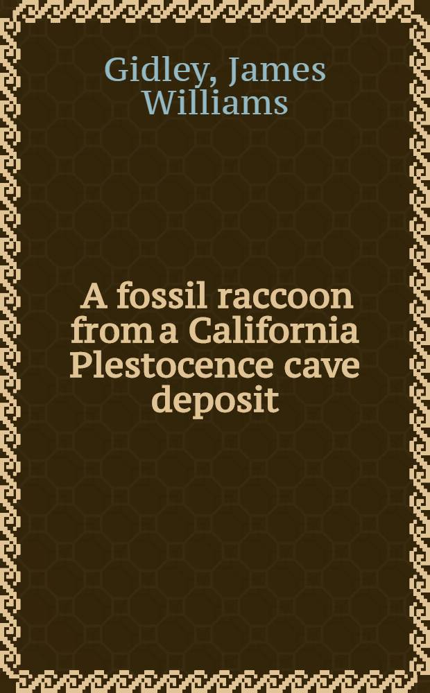 [A fossil raccoon from a California Plestocence cave deposit
