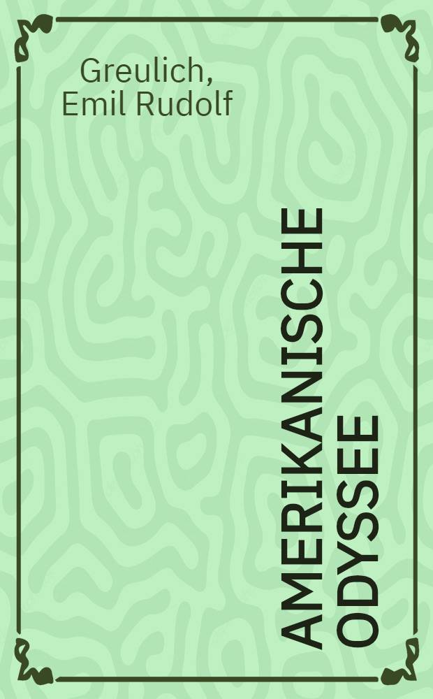 Amerikanische Odyssee : Roman