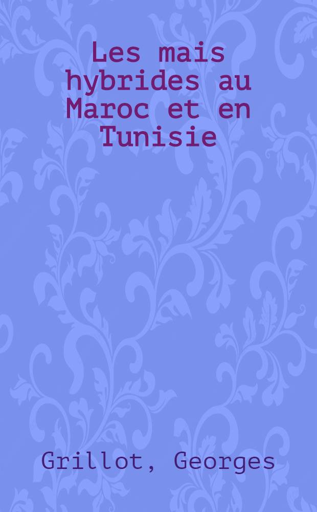 Les mais hybrides au Maroc et en Tunisie