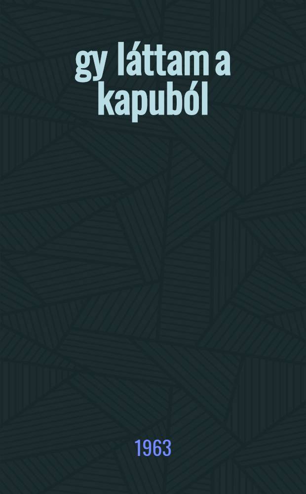 Így láttam a kapuból : Egy labdarúgó regényes életrajza