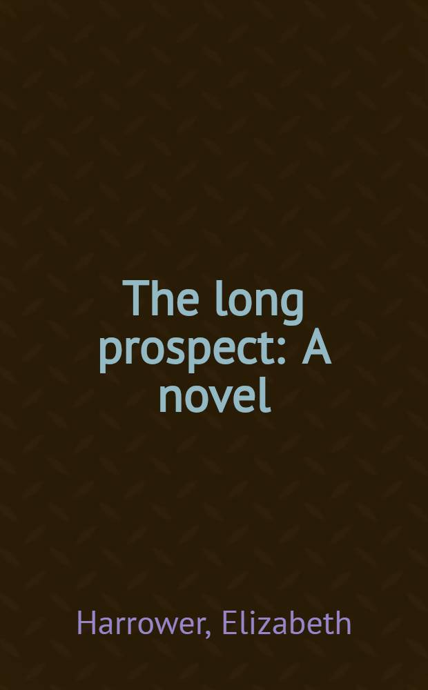 The long prospect : A novel