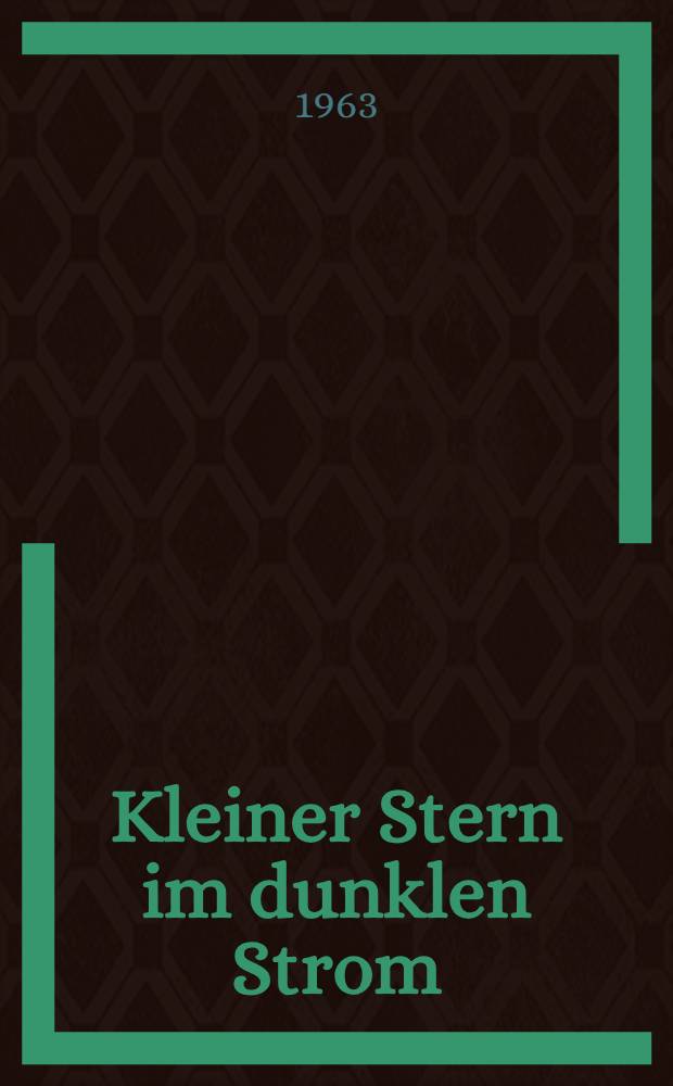 Kleiner Stern im dunklen Strom : Ein Roman