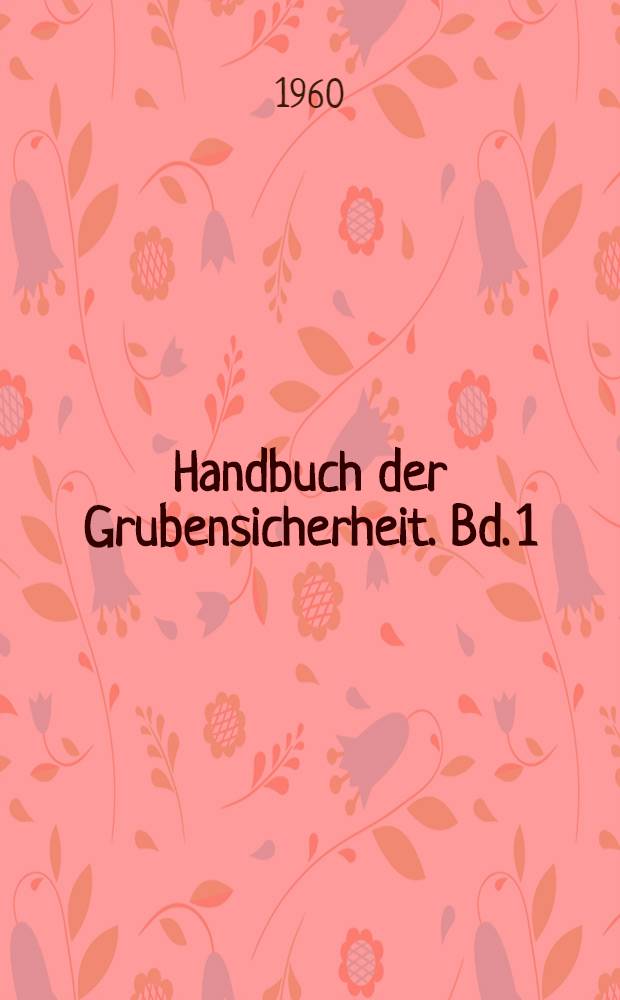 Handbuch der Grubensicherheit. Bd. 1