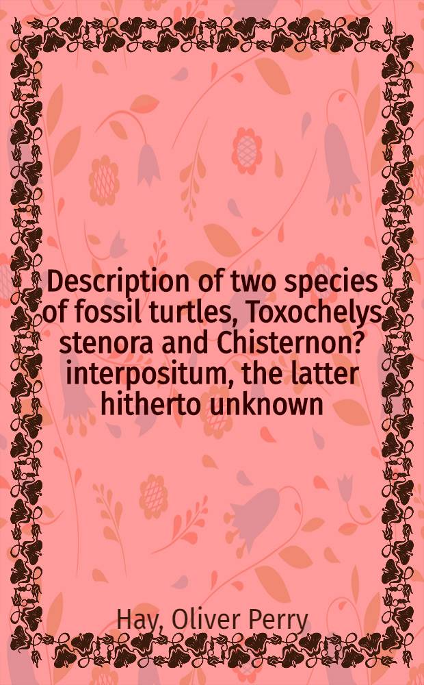 [Description of two species of fossil turtles, Toxochelys stenora and Chisternon? interpositum, the latter hitherto unknown