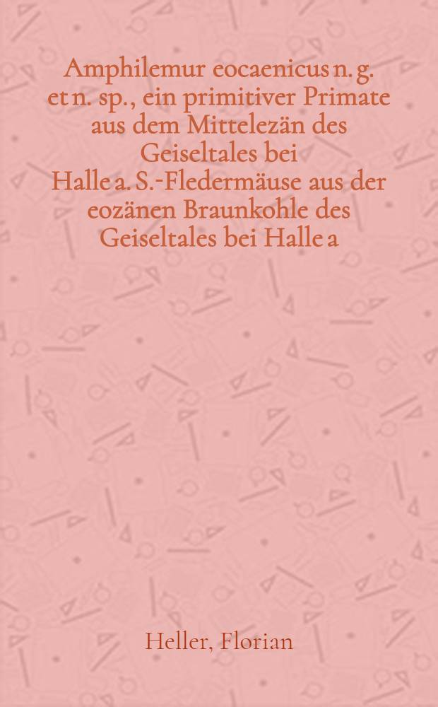 Amphilemur eocaenicus n. g. et n. sp., ein primitiver Primate aus dem Mittelezän des Geiseltales bei Halle a. S.-Fledermäuse aus der eozänen Braunkohle des Geiseltales bei Halle a. S.