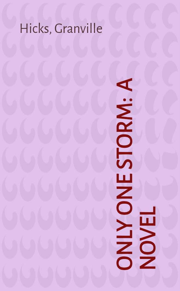 Only one storm : A novel