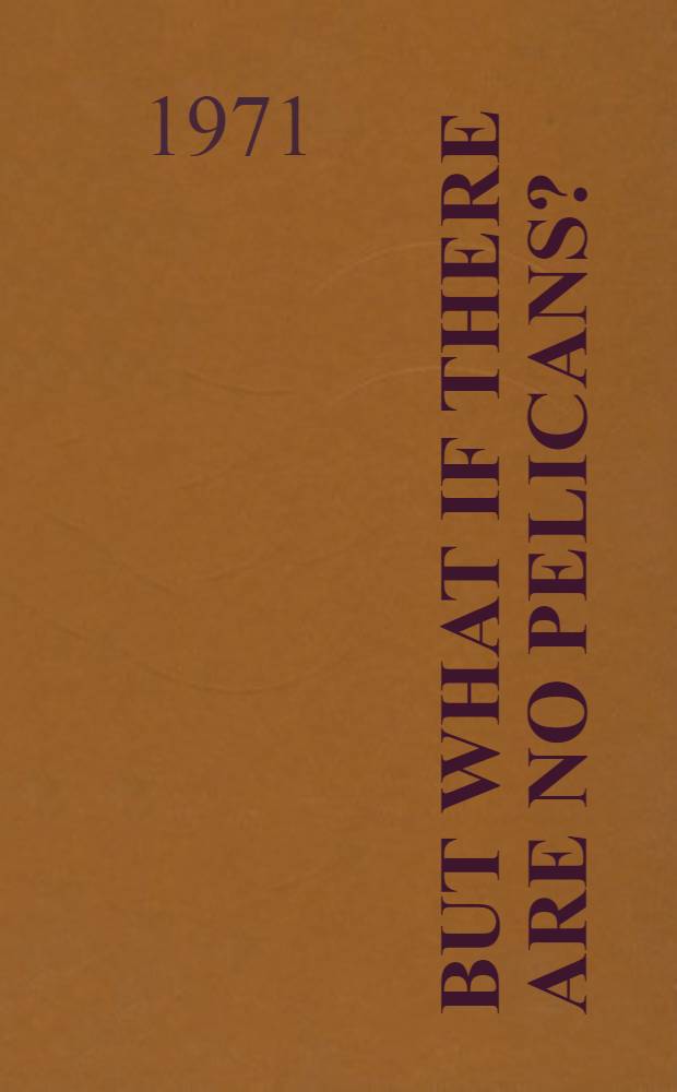 But what if there are no pelicans? : A novel