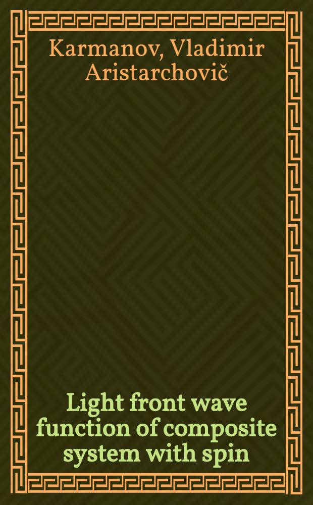 Light front wave function of composite system with spin