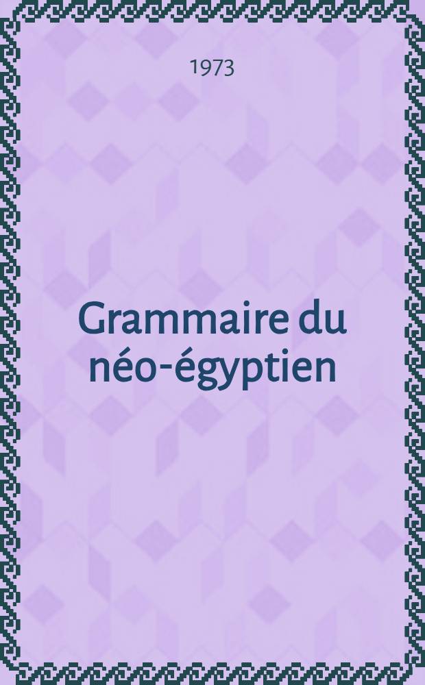 Grammaire du néo-égyptien