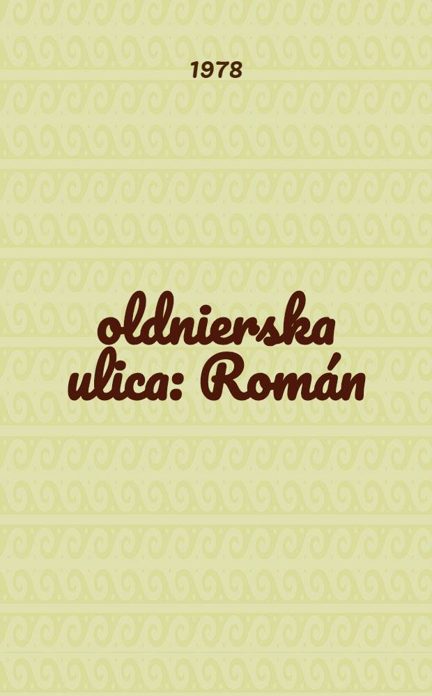 Žoldnierska ulica : Román