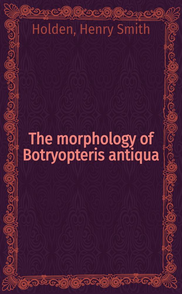 The morphology of Botryopteris antiqua