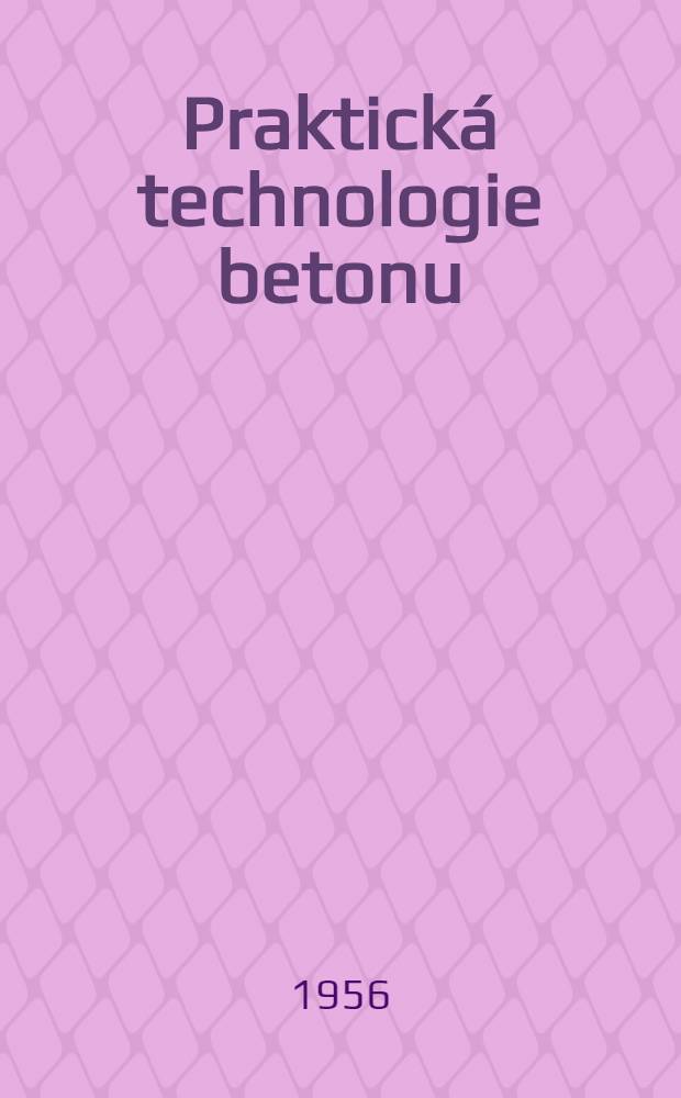 Praktická technologie betonu