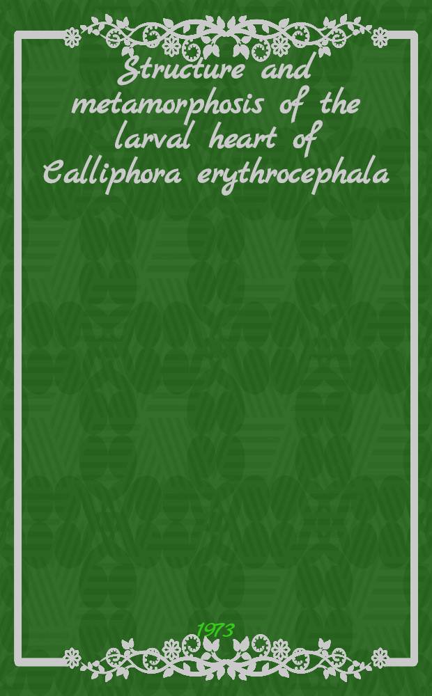 Structure and metamorphosis of the larval heart of Calliphora erythrocephala