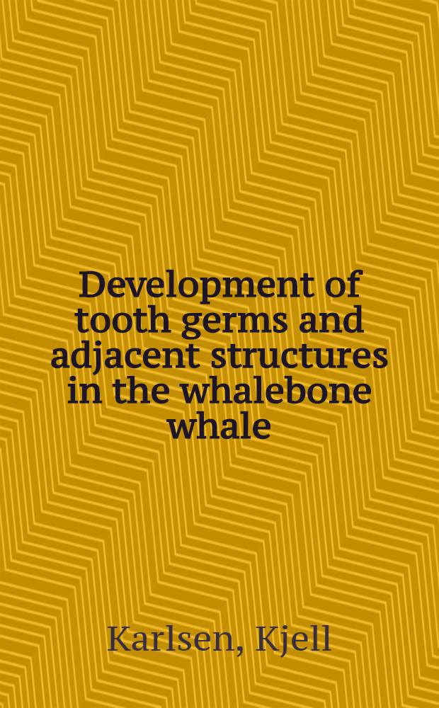 Development of tooth germs and adjacent structures in the whalebone whale (Balaenoptera physalus (L.)) : With a contribution to the theories of the mammalian dentition