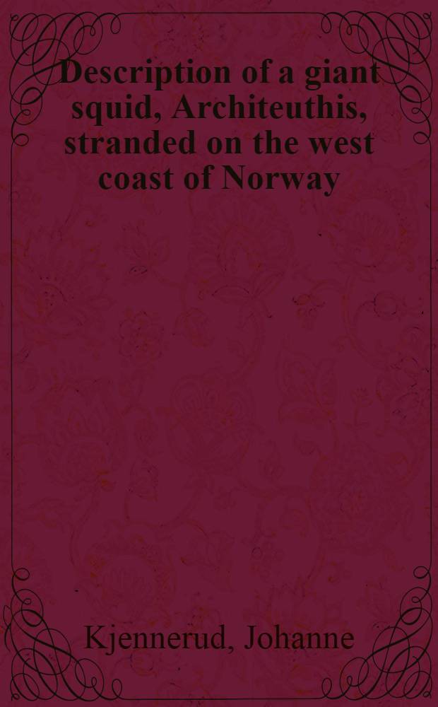 Description of a giant squid, Architeuthis, stranded on the west coast of Norway