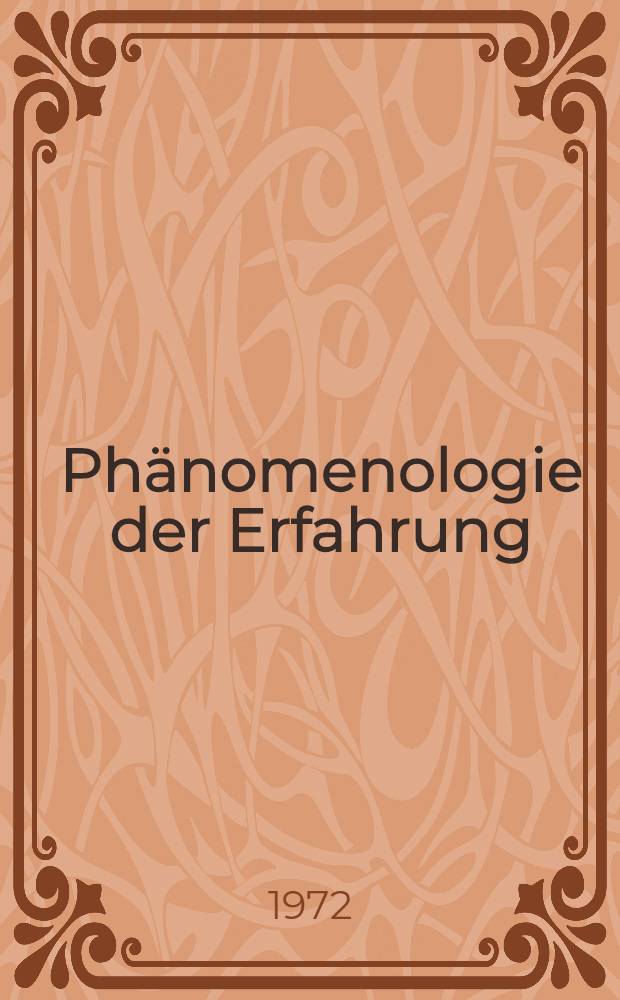 Phänomenologie der Erfahrung