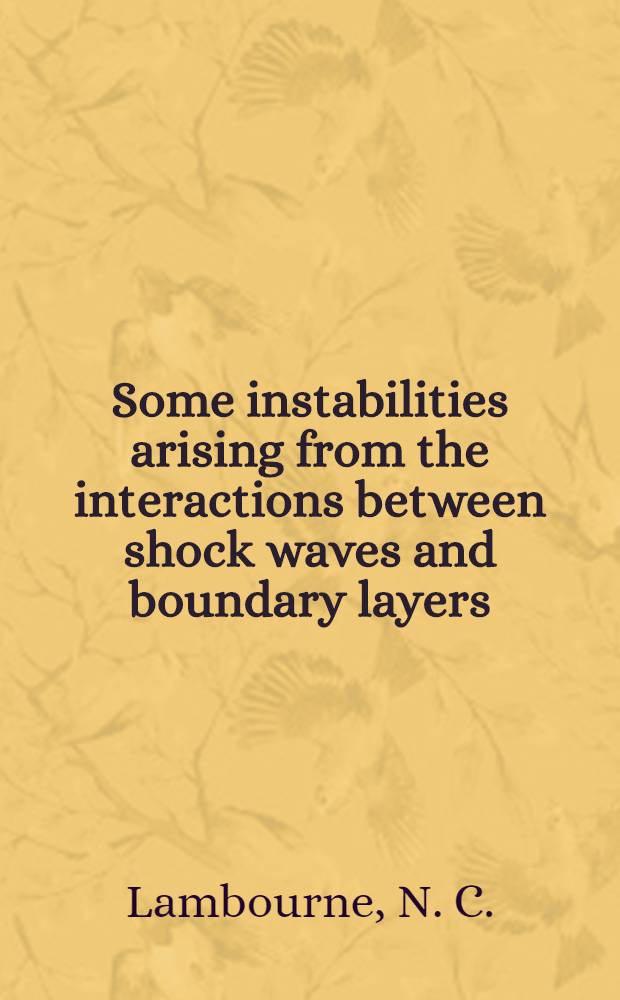 Some instabilities arising from the interactions between shock waves and boundary layers