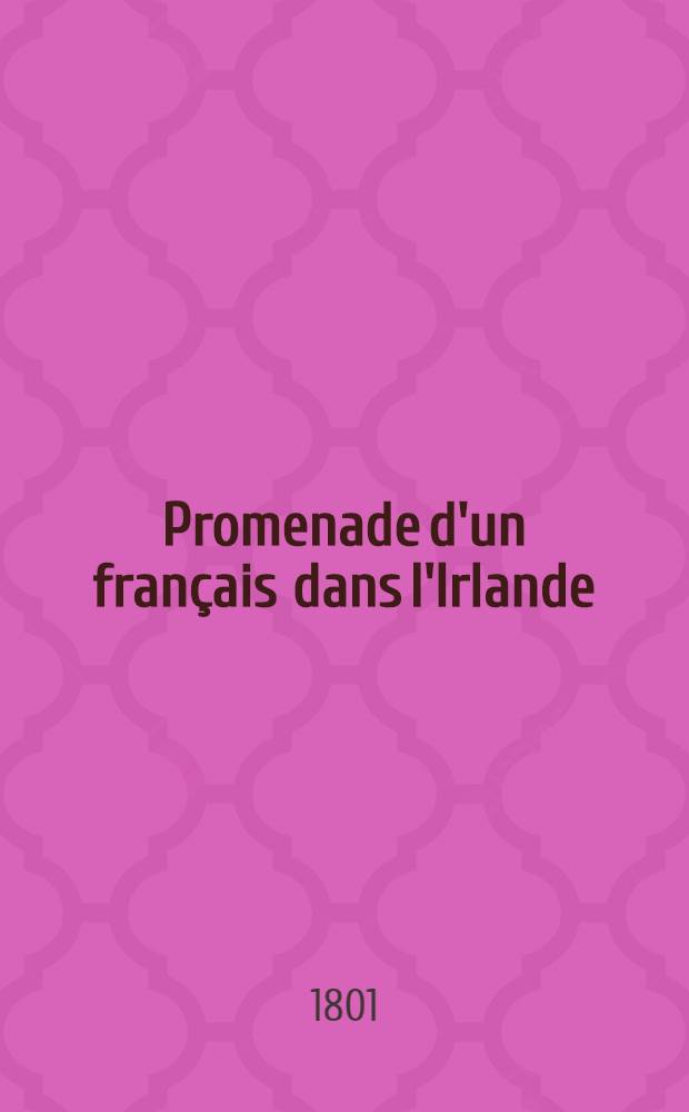 Promenade d'un français dans l'Irlande