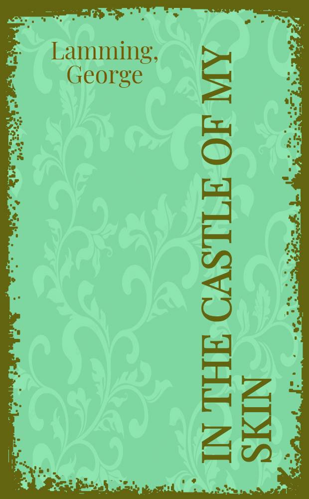 In the castle of my skin : A novel