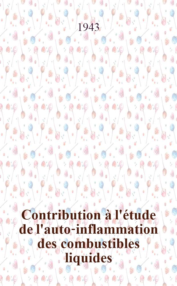 Contribution à l'étude de l'auto-inflammation des combustibles liquides