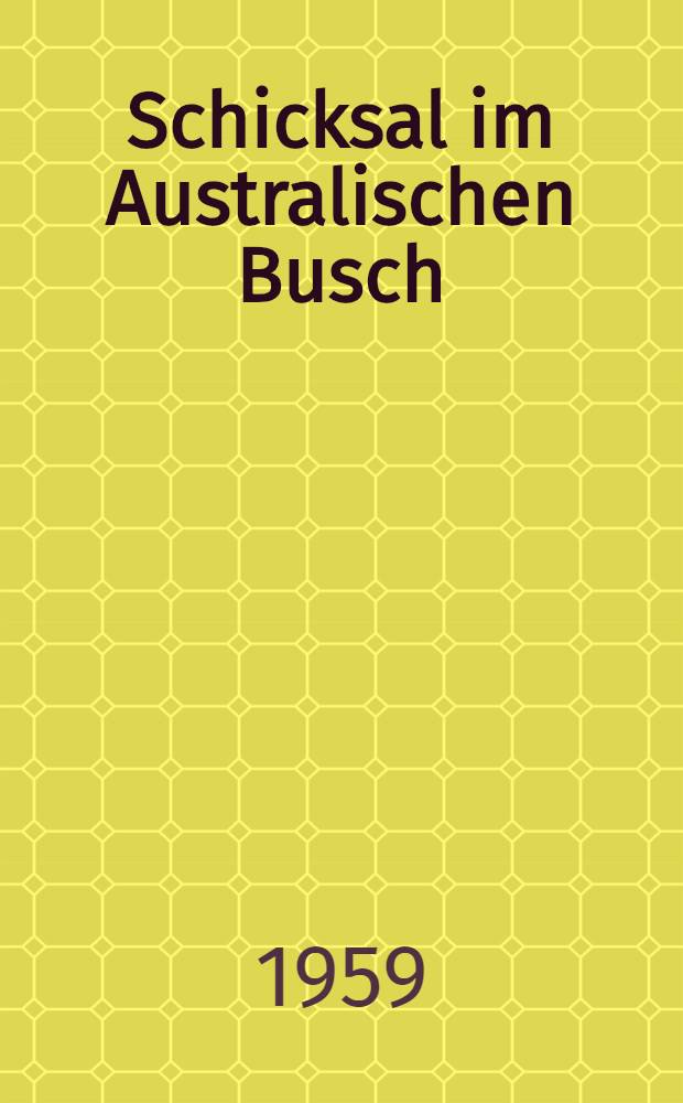 Schicksal im Australischen Busch : Vorstoß in das Herz eines Kontinents
