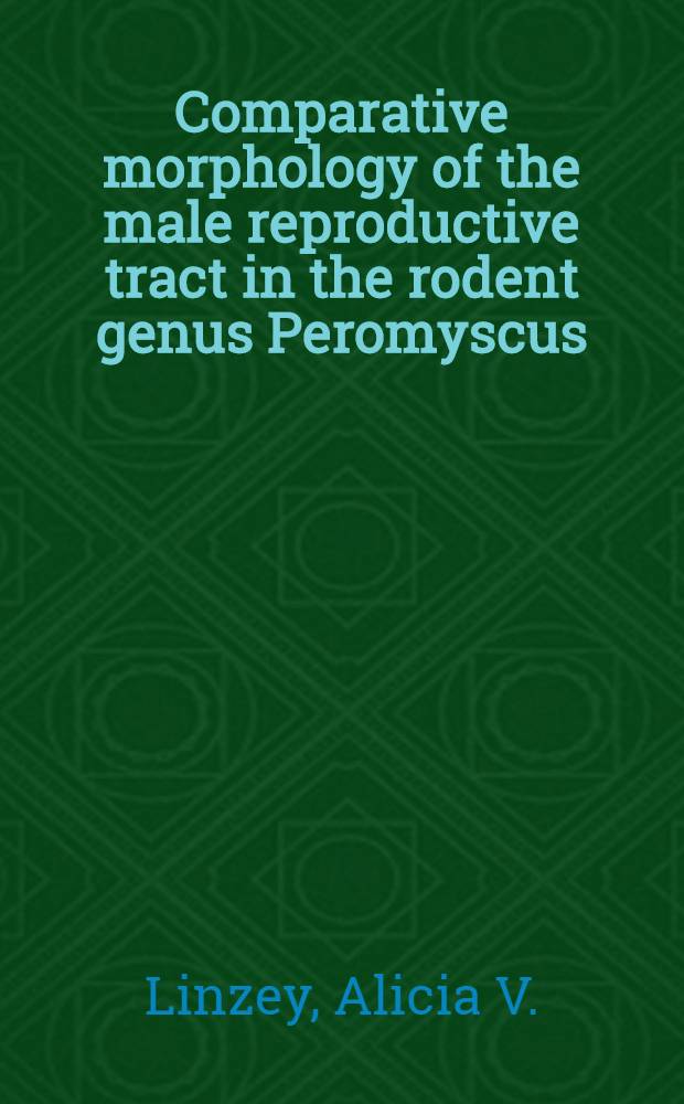 Comparative morphology of the male reproductive tract in the rodent genus Peromyscus (Muridae)