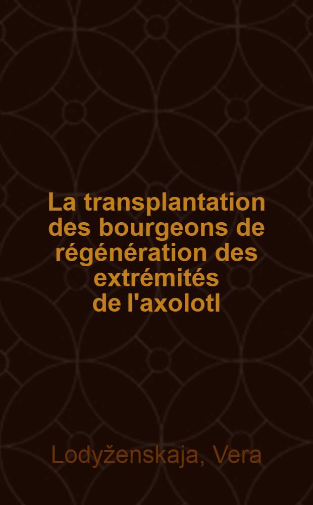 La transplantation des bourgeons de régénération des extrémités de l'axolotl