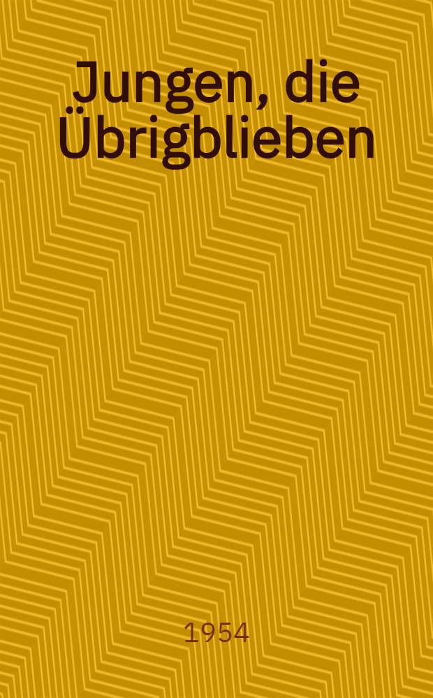 Jungen, die Übrigblieben : Roman