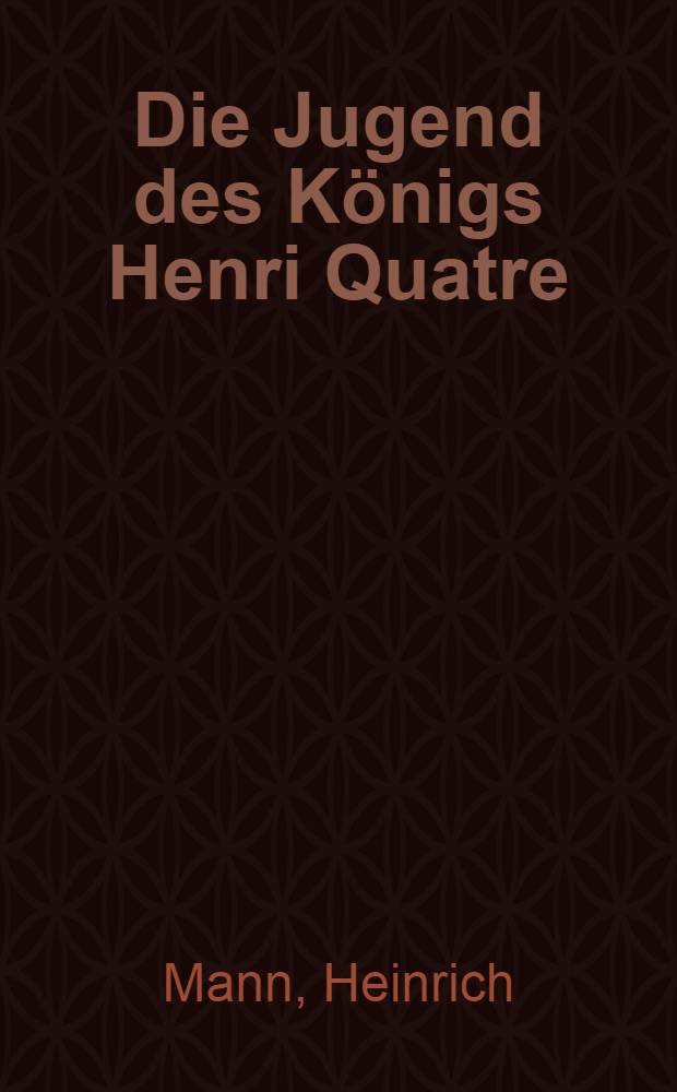 Die Jugend des Königs Henri Quatre : Roman