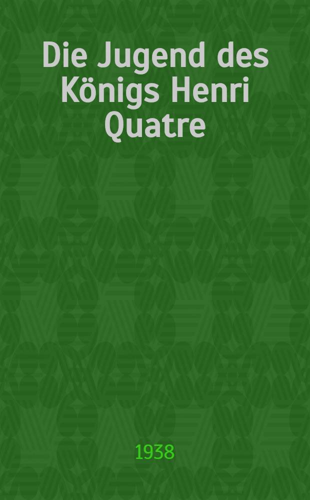 Die Jugend des K&ouml;nigs Henri Quatre : Roman
