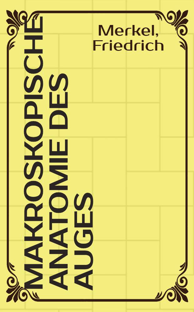 Makroskopische Anatomie des Auges