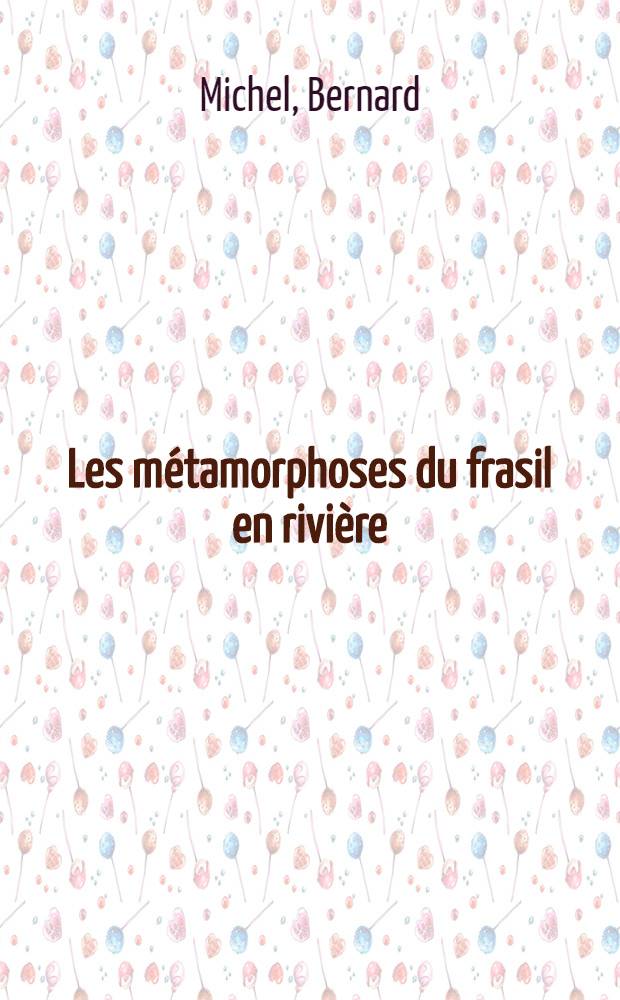 Les métamorphoses du frasil en rivière