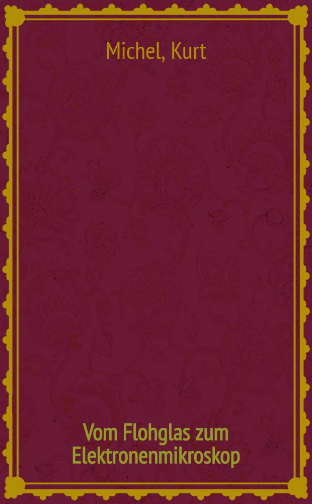 Vom Flohglas zum Elektronenmikroskop