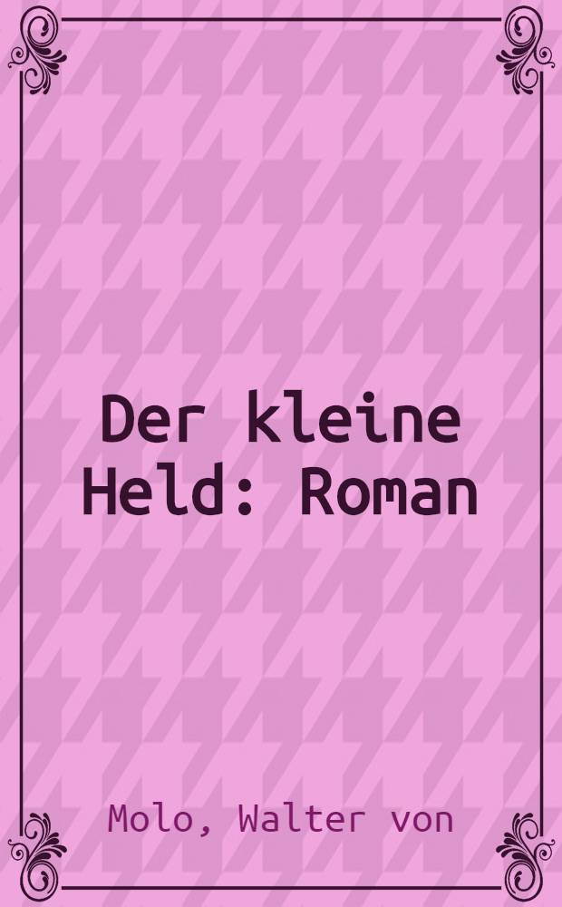 Der kleine Held : Roman