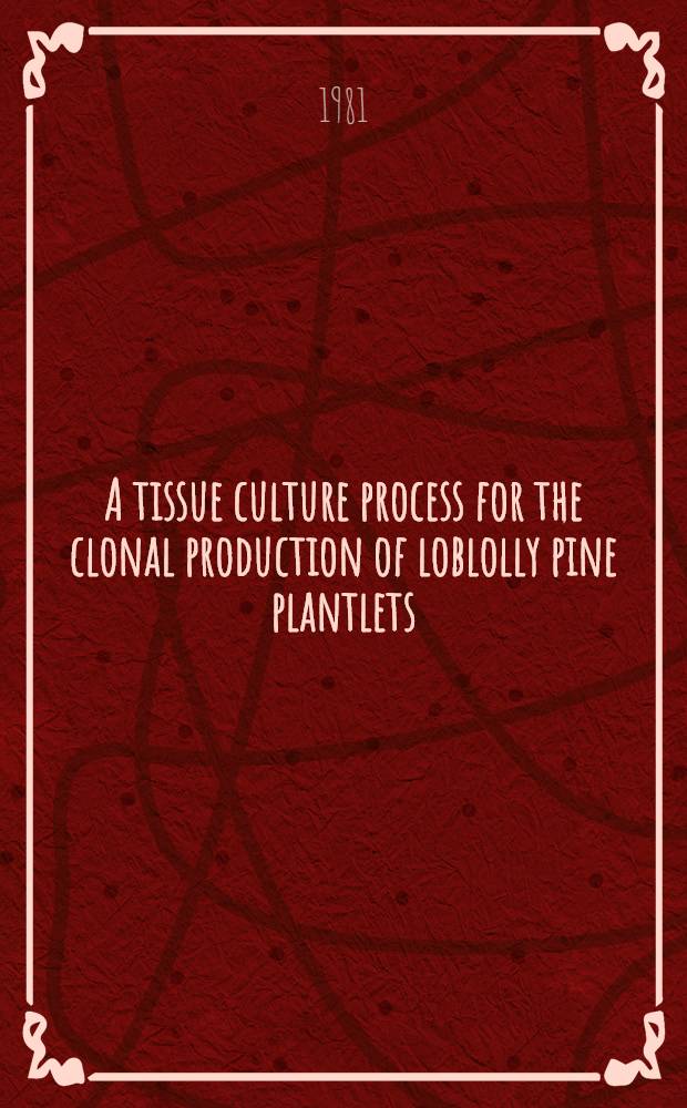 A tissue culture process for the clonal production of loblolly pine plantlets