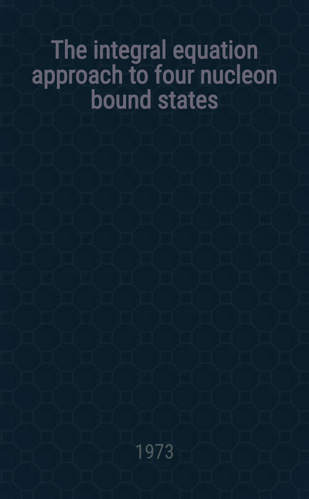 The integral equation approach to four nucleon bound states