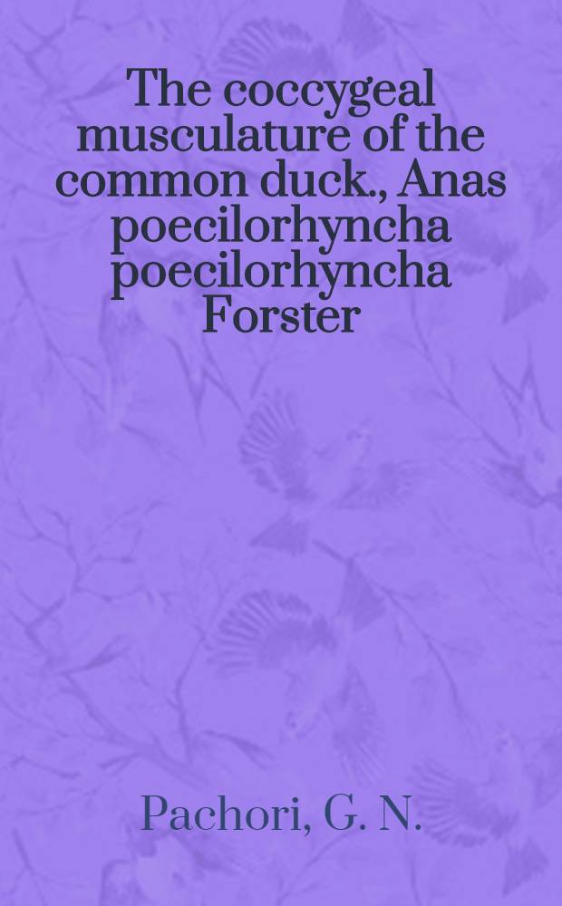 [The coccygeal musculature of the common duck., Anas poecilorhyncha poecilorhyncha Forster