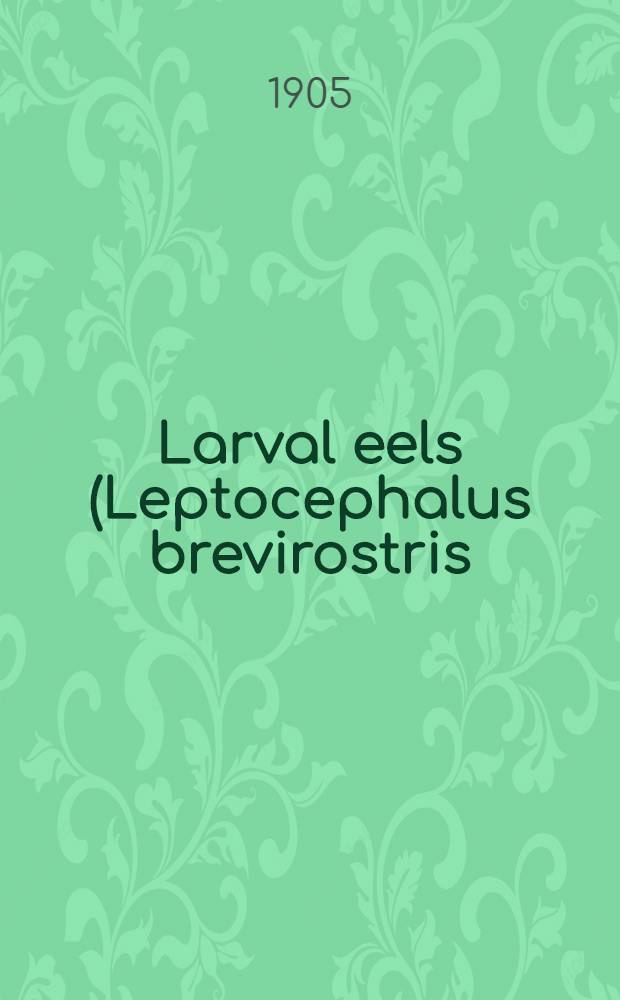 Larval eels (Leptocephalus brevirostris) of the Atlantic coasts of Europe